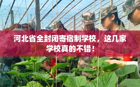 河北省全封闭寄宿制学校,这几家学校真的不错! 河北省全封闭寄宿制学校,这几家学校真的不错!