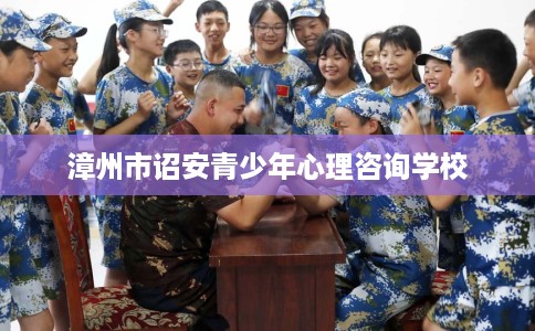 漳州市诏安青少年心理咨询学校