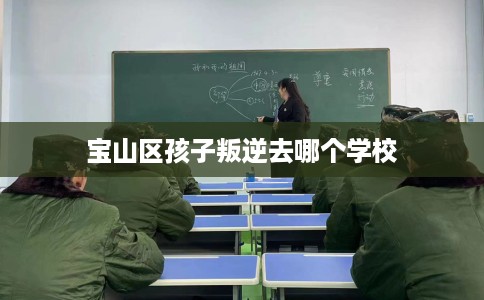 宝山区孩子叛逆去哪个学校
