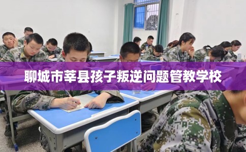 聊城市莘县孩子叛逆问题管教学校