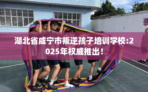 湖北省咸宁市叛逆孩子培训学校:2025年权威推出! 湖北省咸宁市叛逆孩子培训学校:2025年权威推出!