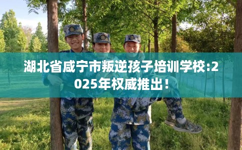 湖北省咸宁市叛逆孩子培训学校:2025年权威推出！