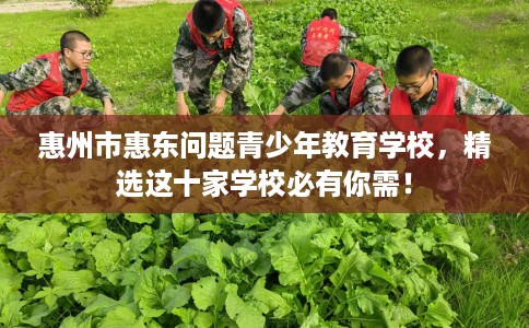 惠州市惠东问题青少年教育学校，精选这十家学校必有你需！