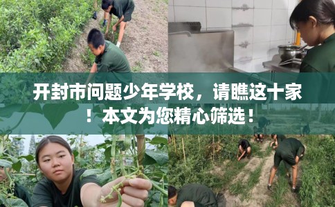 开封市问题少年学校,请瞧这十家!本文为您精心筛选! 开封市问题少年学校,请瞧这十家!本文为您精心筛选!