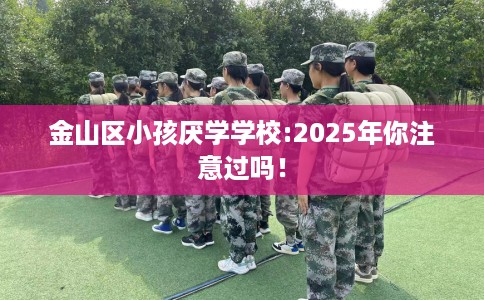 金山区小孩厌学学校:2025年你注意过吗! 金山区小孩厌学学校:2025年你注意过吗!