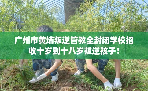 广州市黄埔叛逆管教全封闭学校招收十岁到十八岁叛逆孩子! 广州市黄埔叛逆管教全封闭学校招收十岁到十八岁叛逆孩子!