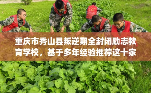 重庆市秀山县叛逆期全封闭励志教育学校，基于多年经验推荐这十家学校！