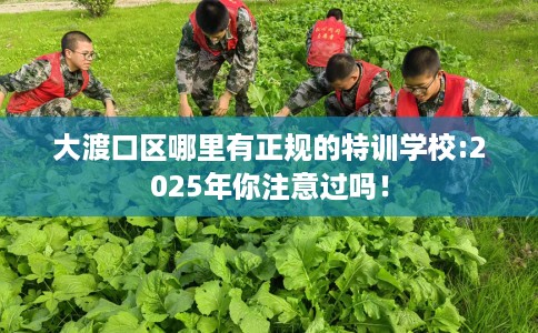 大渡口区哪里有正规的特训学校:2025年你注意过吗！