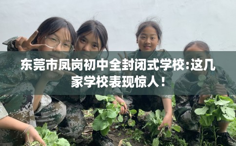 东莞市凤岗初中全封闭式学校:这几家学校表现惊人! 东莞市凤岗初中全封闭式学校:这几家学校表现惊人!