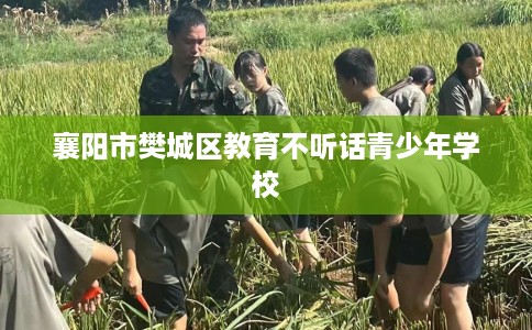 襄阳市樊城区教育不听话青少年学校