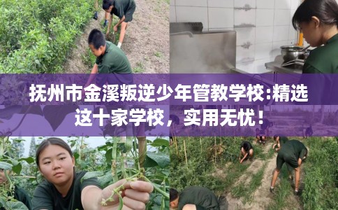 抚州市金溪叛逆少年管教学校:精选这十家学校，实用无忧！