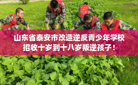 山东省泰安市改造逆反青少年学校招收十岁到十八岁叛逆孩子! 山东省泰安市改造逆反青少年学校招收十岁到十八岁叛逆孩子!