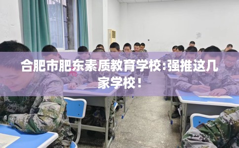 合肥市肥东素质教育学校:强推这几家学校！
