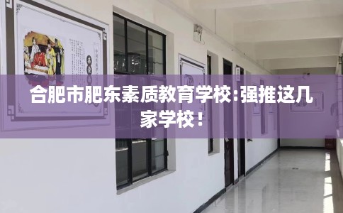 合肥市肥东素质教育学校:强推这几家学校！