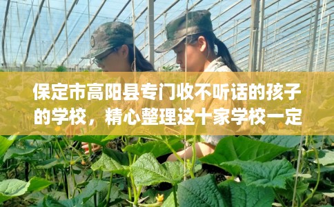 保定市高阳县专门收不听话的孩子的学校,精心整理这十家学校一定有用! 保定市高阳县专门收不听话的孩子的学校,精心整理这十家学校一定有用!