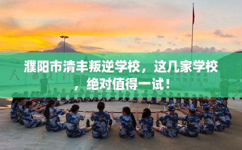 濮阳市清丰叛逆学校，这几家学校，绝对值得一试！