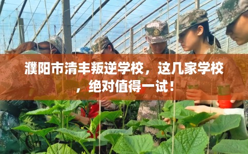 濮阳市清丰叛逆学校，这几家学校，绝对值得一试！