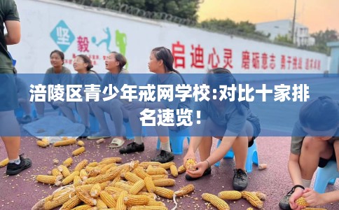 涪陵区青少年戒网学校:对比十家排名速览! 涪陵区青少年戒网学校:对比十家排名速览!