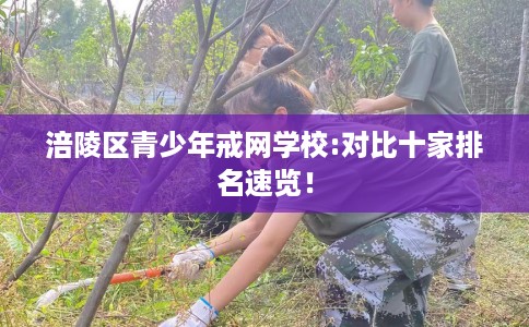 涪陵区青少年戒网学校:对比十家排名速览! 涪陵区青少年戒网学校:对比十家排名速览!