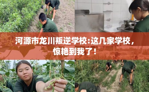 河源市龙川叛逆学校:这几家学校,惊艳到我了! 河源市龙川叛逆学校:这几家学校,惊艳到我了!