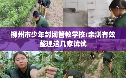 柳州市少年封闭管教学校:亲测有效整理这几家试试