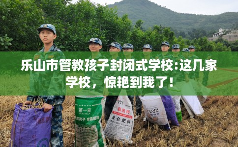 乐山市管教孩子封闭式学校:这几家学校，惊艳到我了！