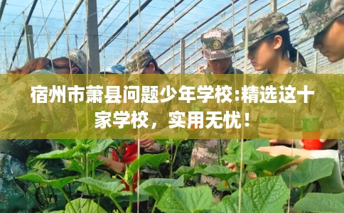 宿州市萧县问题少年学校:精选这十家学校，实用无忧！