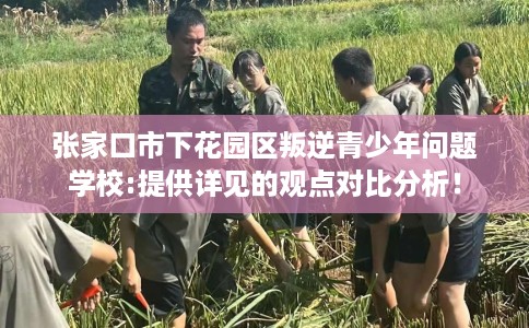 张家口市下花园区叛逆青少年问题学校:提供详见的观点对比分析! 张家口市下花园区叛逆青少年问题学校:提供详见的观点对比分析!