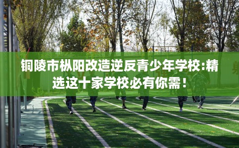 铜陵市枞阳改造逆反青少年学校:精选这十家学校必有你需！