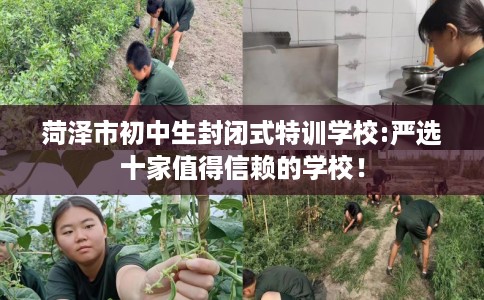 菏泽市初中生封闭式特训学校:严选十家值得信赖的学校！