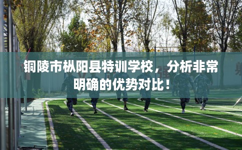 铜陵市枞阳县特训学校,分析非常明确的优势对比! 铜陵市枞阳县特训学校,分析非常明确的优势对比!