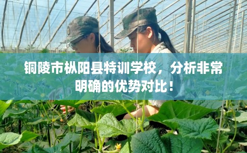 铜陵市枞阳县特训学校,分析非常明确的优势对比! 铜陵市枞阳县特训学校,分析非常明确的优势对比!