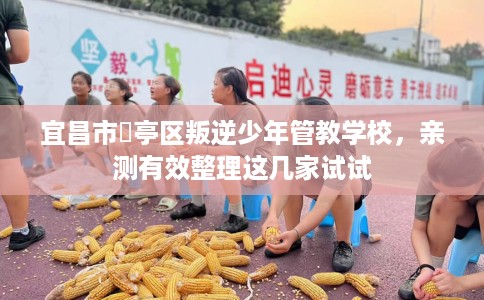 宜昌市猇亭区叛逆少年管教学校，亲测有效整理这几家试试