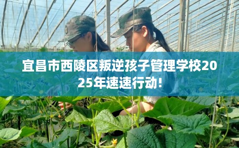 宜昌市西陵区叛逆孩子管理学校2025年速速行动!
