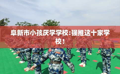 阜新市小孩厌学学校:强推这十家学校! 阜新市小孩厌学学校:强推这十家学校!