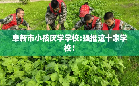 阜新市小孩厌学学校:强推这十家学校！