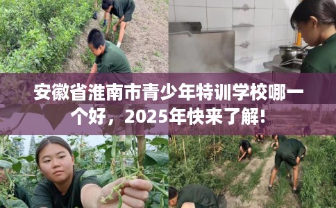 安徽省淮南市青少年特训学校哪一个好，2025年快来了解!