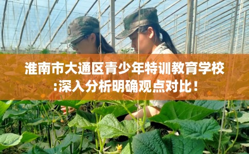 淮南市大通区青少年特训教育学校:深入分析明确观点对比！