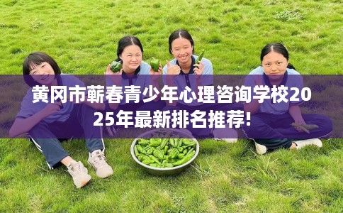 黄冈市蕲春青少年心理咨询学校2025年最新排名推荐! 黄冈市蕲春青少年心理咨询学校2025年最新排名推荐!