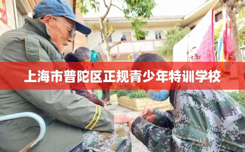 上海市普陀区正规青少年特训学校 上海市普陀区正规青少年特训学校