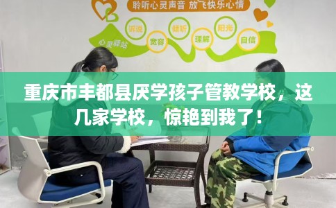重庆市丰都县厌学孩子管教学校，这几家学校，惊艳到我了！