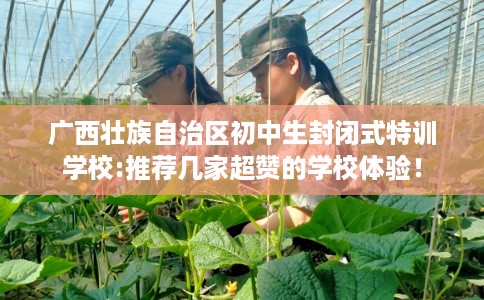 广西壮族自治区初中生封闭式特训学校:推荐几家超赞的学校体验！