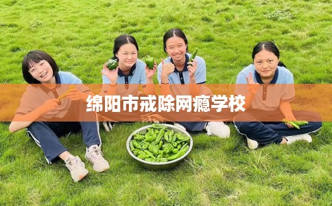 绵阳市戒除网瘾学校