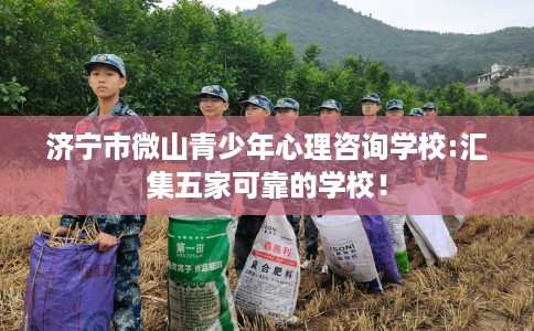济宁市微山青少年心理咨询学校:汇集五家可靠的学校! 济宁市微山青少年心理咨询学校:汇集五家可靠的学校!