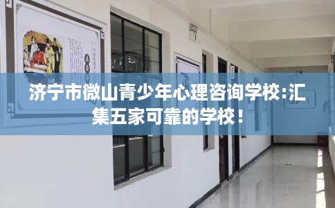 济宁市微山青少年心理咨询学校:汇集五家可靠的学校！