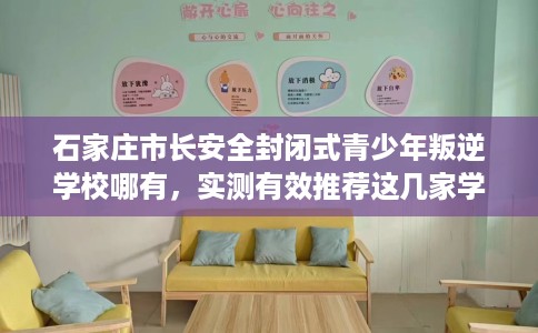 石家庄市长安全封闭式青少年叛逆学校哪有，实测有效推荐这几家学校试试看！