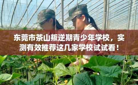 东莞市茶山叛逆期青少年学校，实测有效推荐这几家学校试试看！