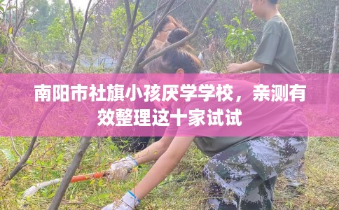南阳市社旗小孩厌学学校，亲测有效整理这十家试试