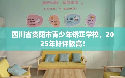 四川省资阳市青少年矫正学校，2025年好评极高！