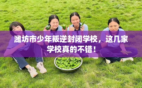 潍坊市少年叛逆封闭学校，这几家学校真的不错！
